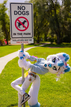 No Dogs (Photo by CocoaCaptures)