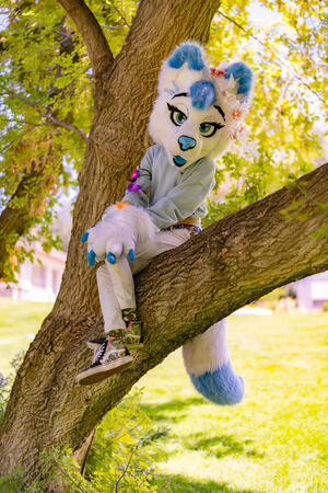 Seriously, help me get down (Photo by CocoaCaptures)