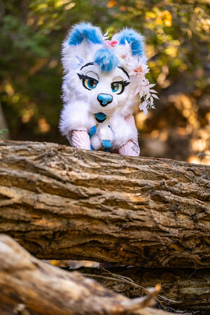 Small Talk (Photo by CocoaCaptures)