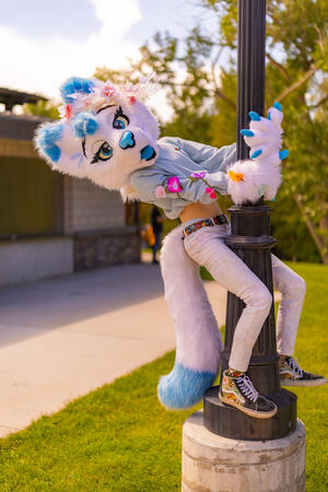 Stripper Pole (Photo by CocoaCaptures)