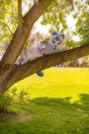 Someone help me get down please (Photo by CocoaCaptures)
